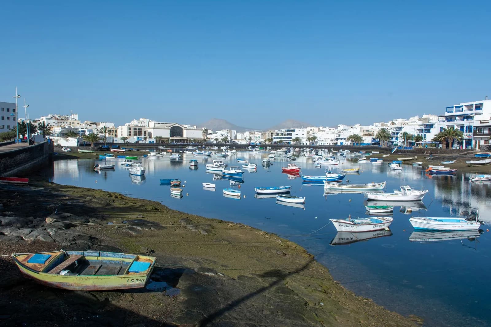 Barques de pêche sur la lagune du Charco de San Ginés, au centre d'Arrecife, Lanzarote