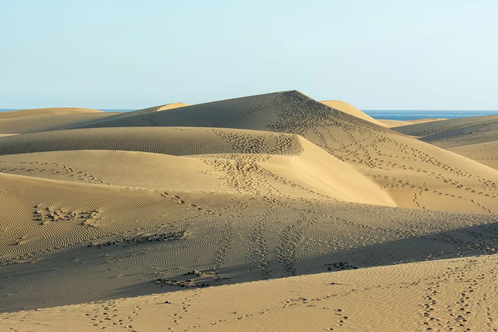 Les dunes de sable de Maspalomas avec l'océan Atlantique à l'horizon, sud de Gran Canaria