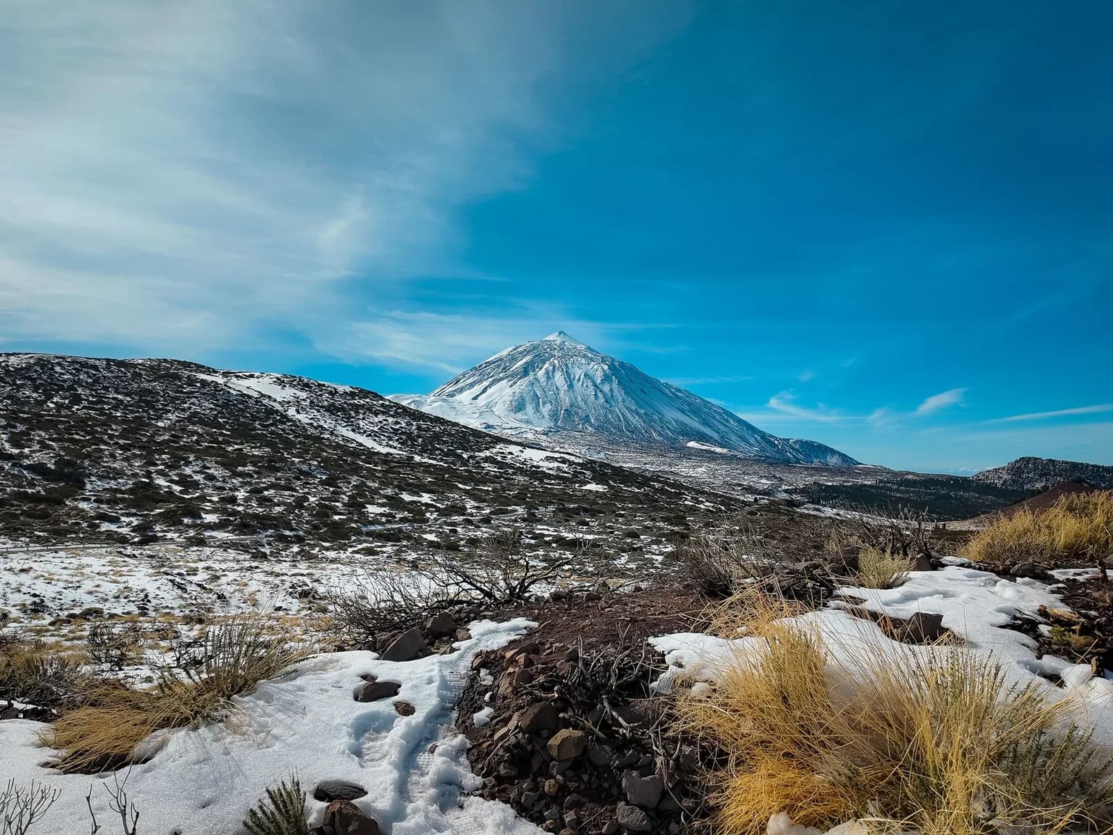 Le Teide enneigé sous un ciel bleu, neige sur les genêts et la lave de Las Cañadas en hiver, Tenerife