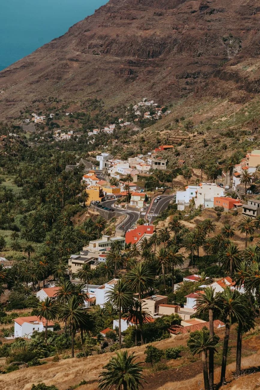Village en terrasses au milieu des palmiers dans le fond de Valle Gran Rey, La Gomera