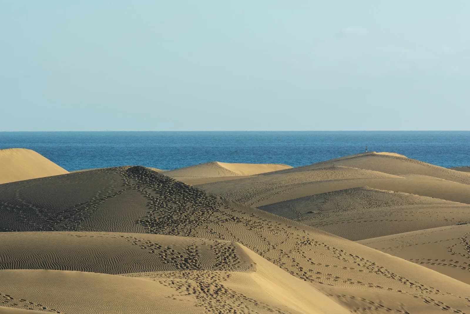 Dunes de Maspalomas face à l'océan, Gran Canaria