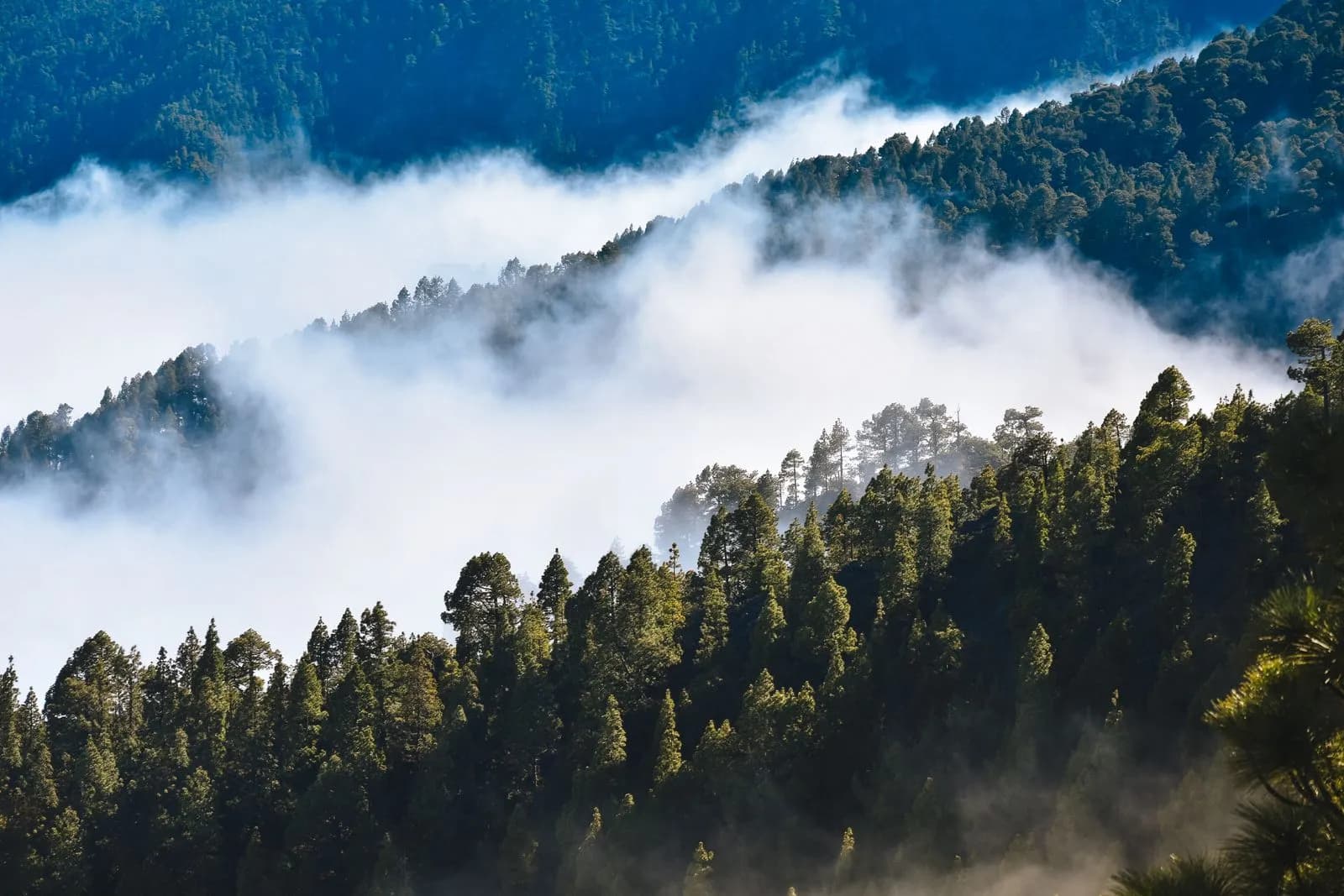 Paysage de La Palma aux Canaries